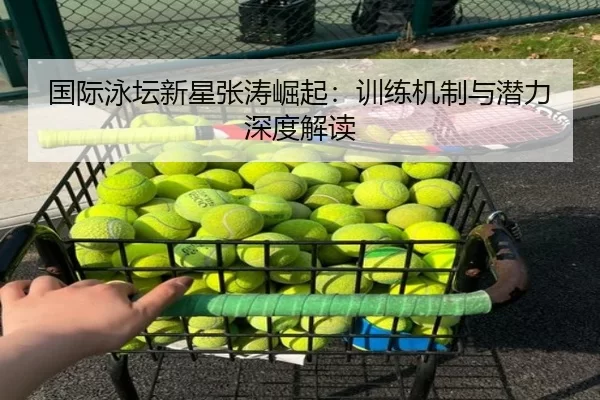 国际泳坛新星张涛崛起：训练机制与潜力深度解读