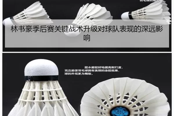 林书豪季后赛关键战术升级对球队表现的深远影响