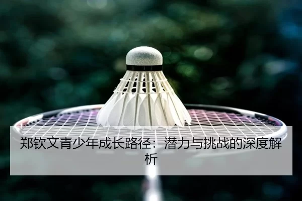 郑钦文青少年成长路径：潜力与挑战的深度解析